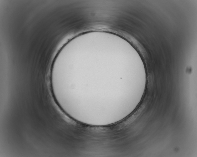 X0000100341432200807031248