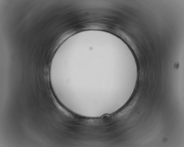 X0000100341433200807031248