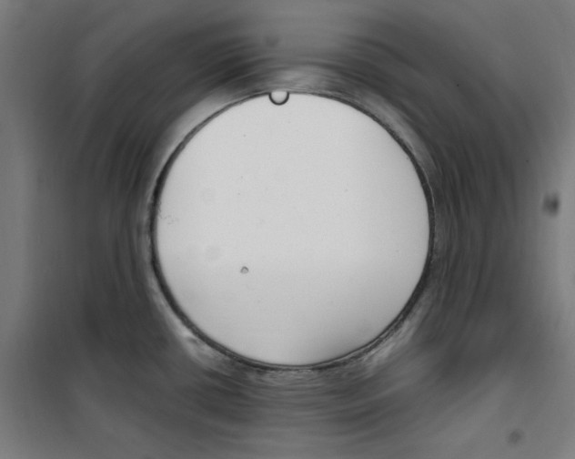 X0000100341434200807031248