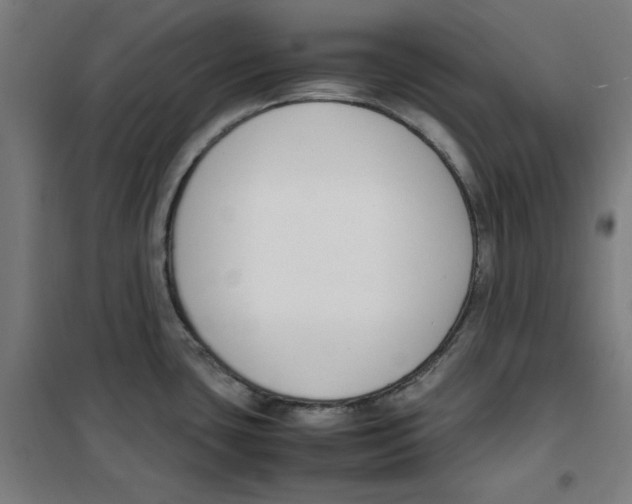 X0000100341435200807031248