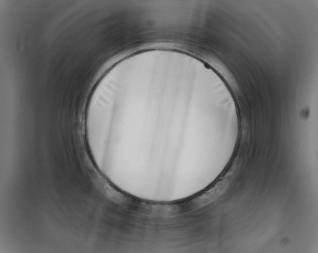 X0000100341436200807031248