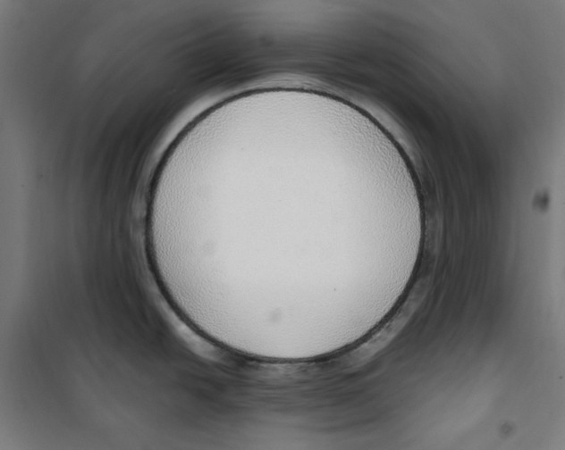 X0000100341438200807031248