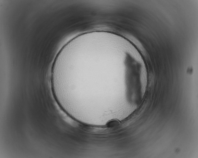 X0000100341439200807031248