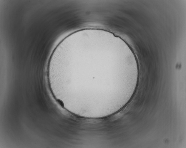 X0000100341440200807031248