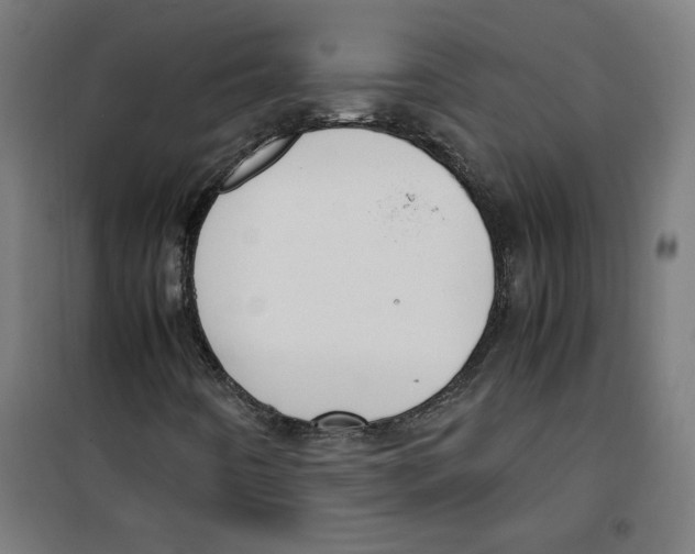 X0000100341442200807031247