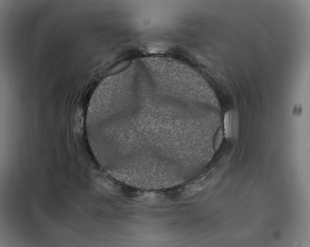 X0000100341443200807031247