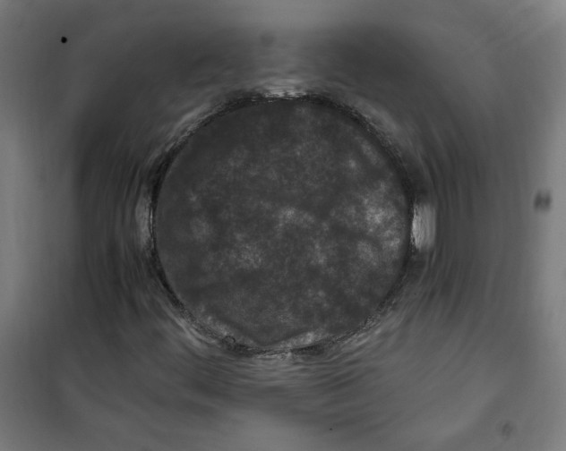 X0000100341444200807031247