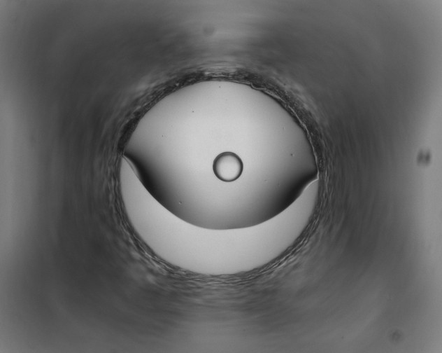 X0000100341445200807031247