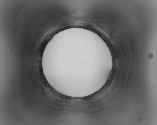 X0000100341447200807031247