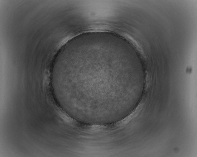 X0000100341449200807031247