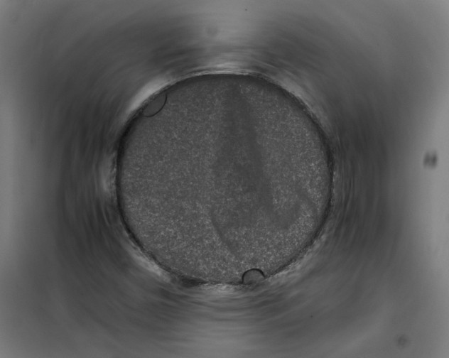 X0000100341450200807031247