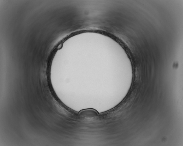 X0000100341452200807031247