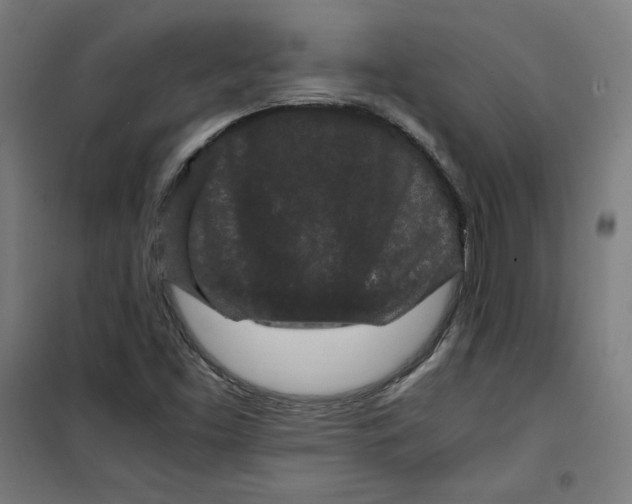 X0000100341453200807031247