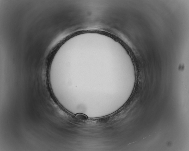 X0000100341456200807031247