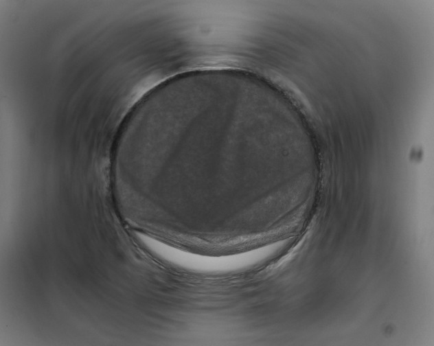 X0000100341457200807031247