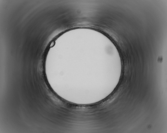 X0000100341458200807031247