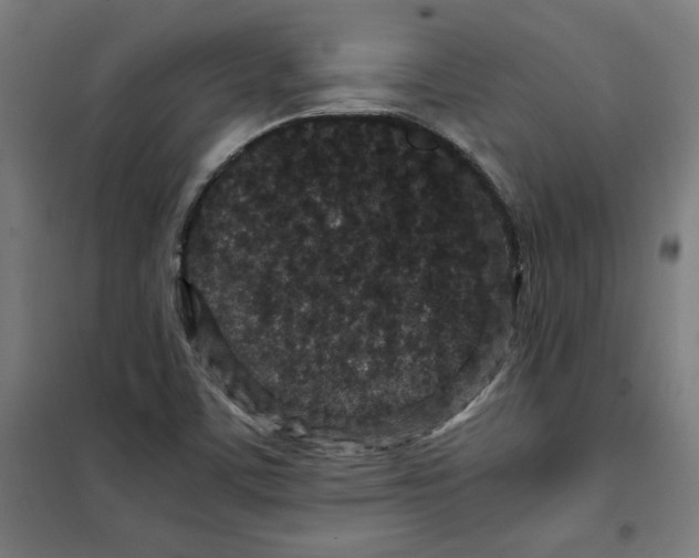 X0000100341459200807031247