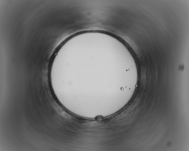 X0000100341460200807031247