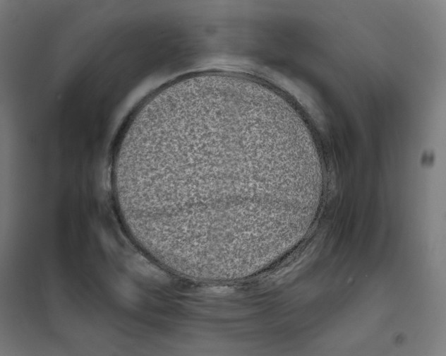 X0000100341462200807031247