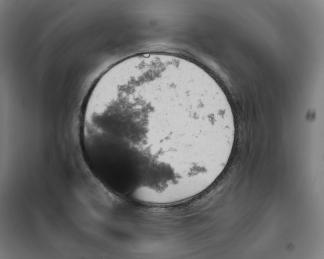 X0000100341463200807031247