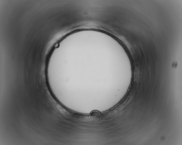 X0000100341464200807031247