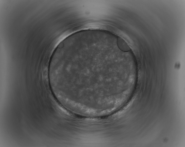 X0000100341465200807031247