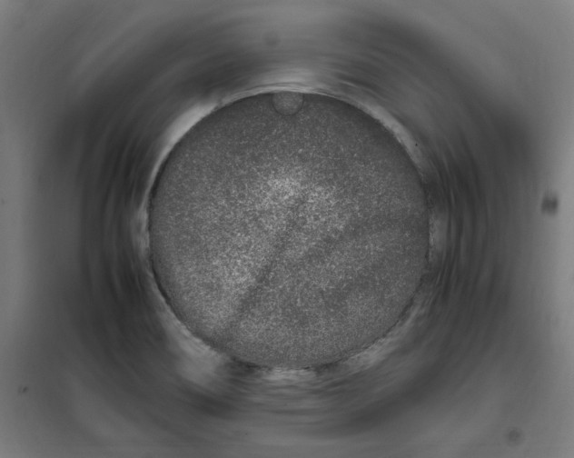 X0000100341466200807031247