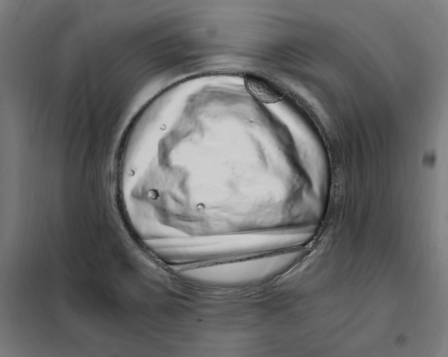 X0000100341467200807031247