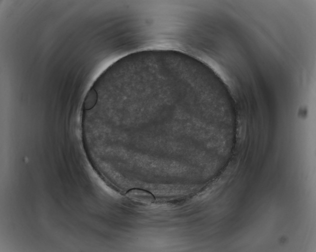 X0000100341468200807031247