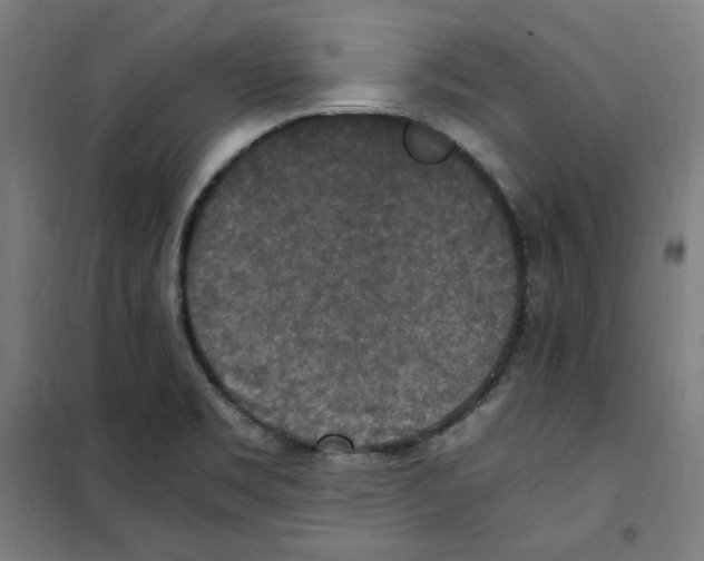 X0000100341469200807031247