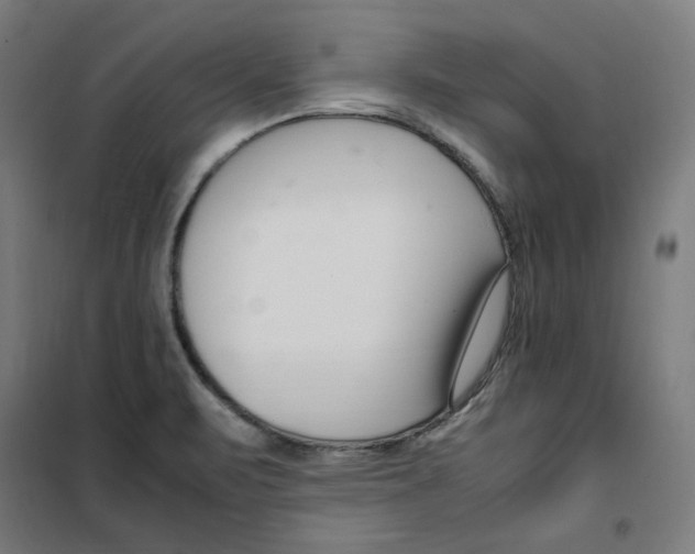 X0000100341471200807031247