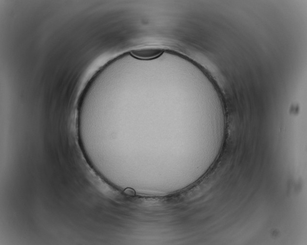 X0000100341472200807031247