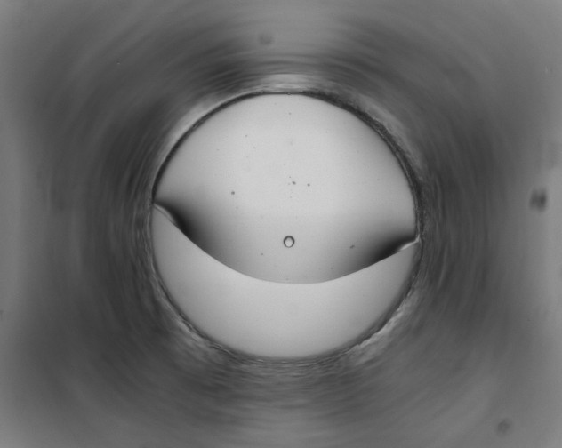 X0000100341473200807031247