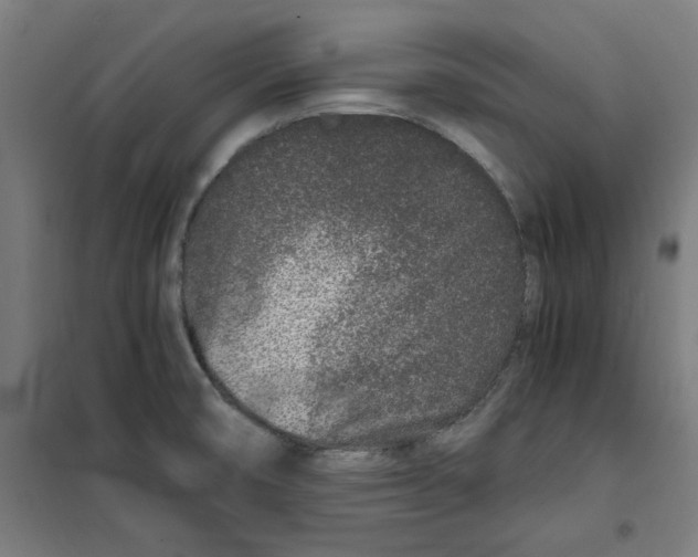 X0000100341474200807031247