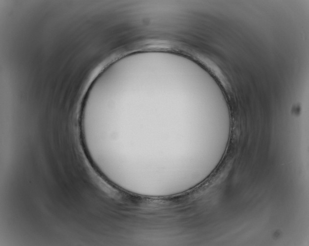 X0000100341475200807031247