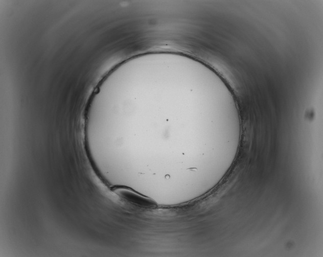 X0000100341476200807031247