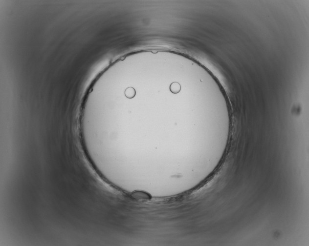 X0000100341477200807031247