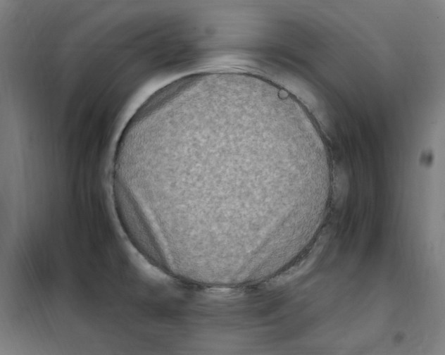 X0000100341478200807031247