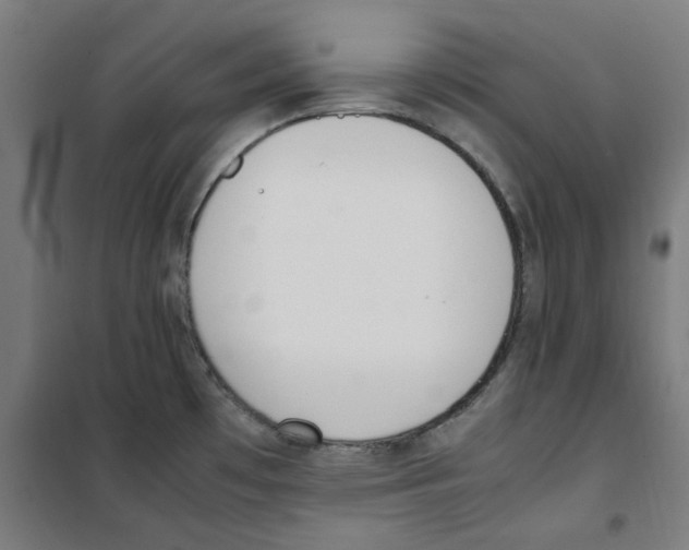 X0000100341481200807031247