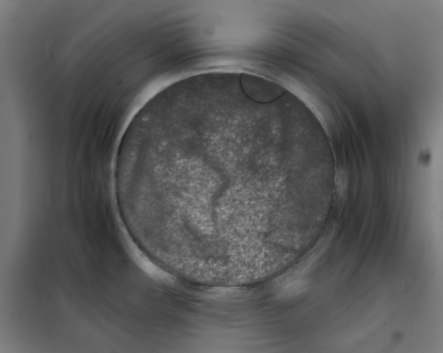 X0000100341482200807031247