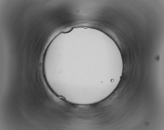 X0000100341483200807031247