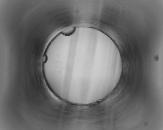 X0000100341484200807031247