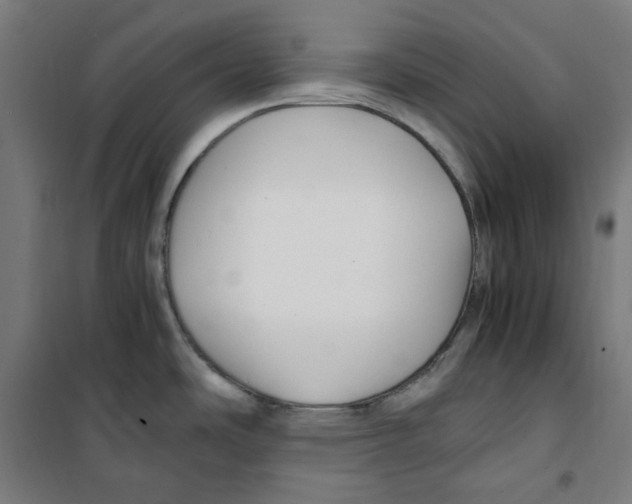 X0000100341486200807031247