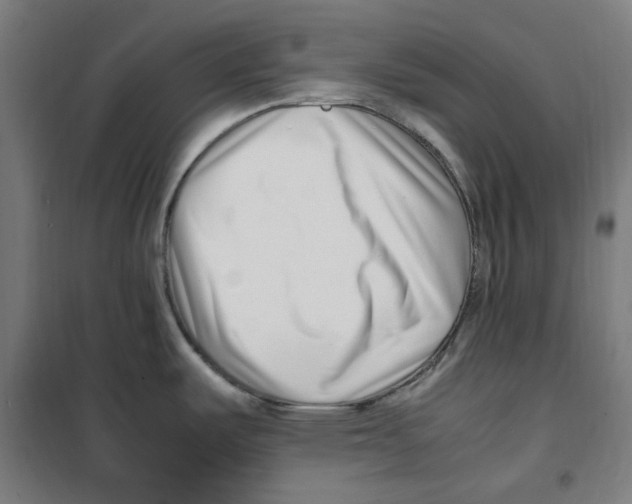 X0000100341487200807031247