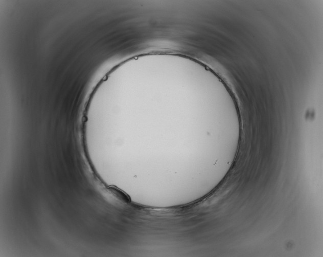 X0000100341488200807031247