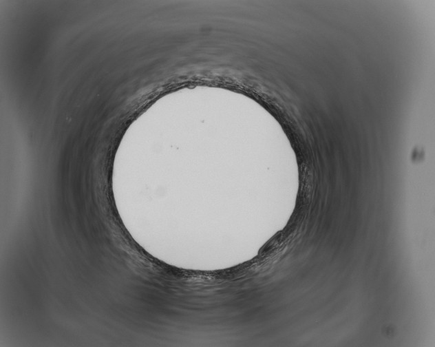 X0000100341489200807031246