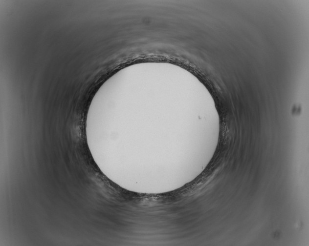 X0000100341490200807031246