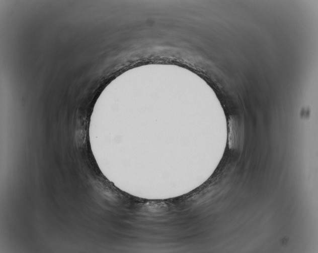 X0000100341491200807031246