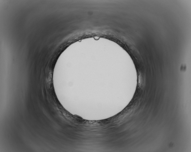 X0000100341492200807031246