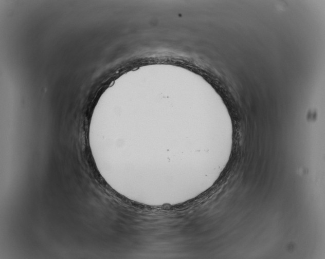 X0000100341493200807031246